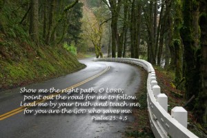 show me the right path-image