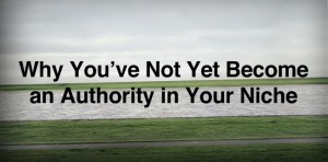 Why-You’ve-Not-Yet-Become-an-Authority-in-Your-Niche