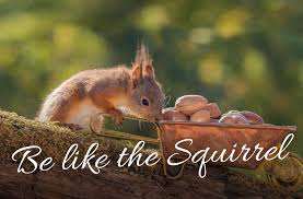 Be The Squirrel