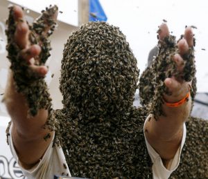 Bee Beard man covered in bees