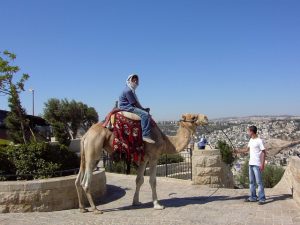 Jerusalem 2004 #7